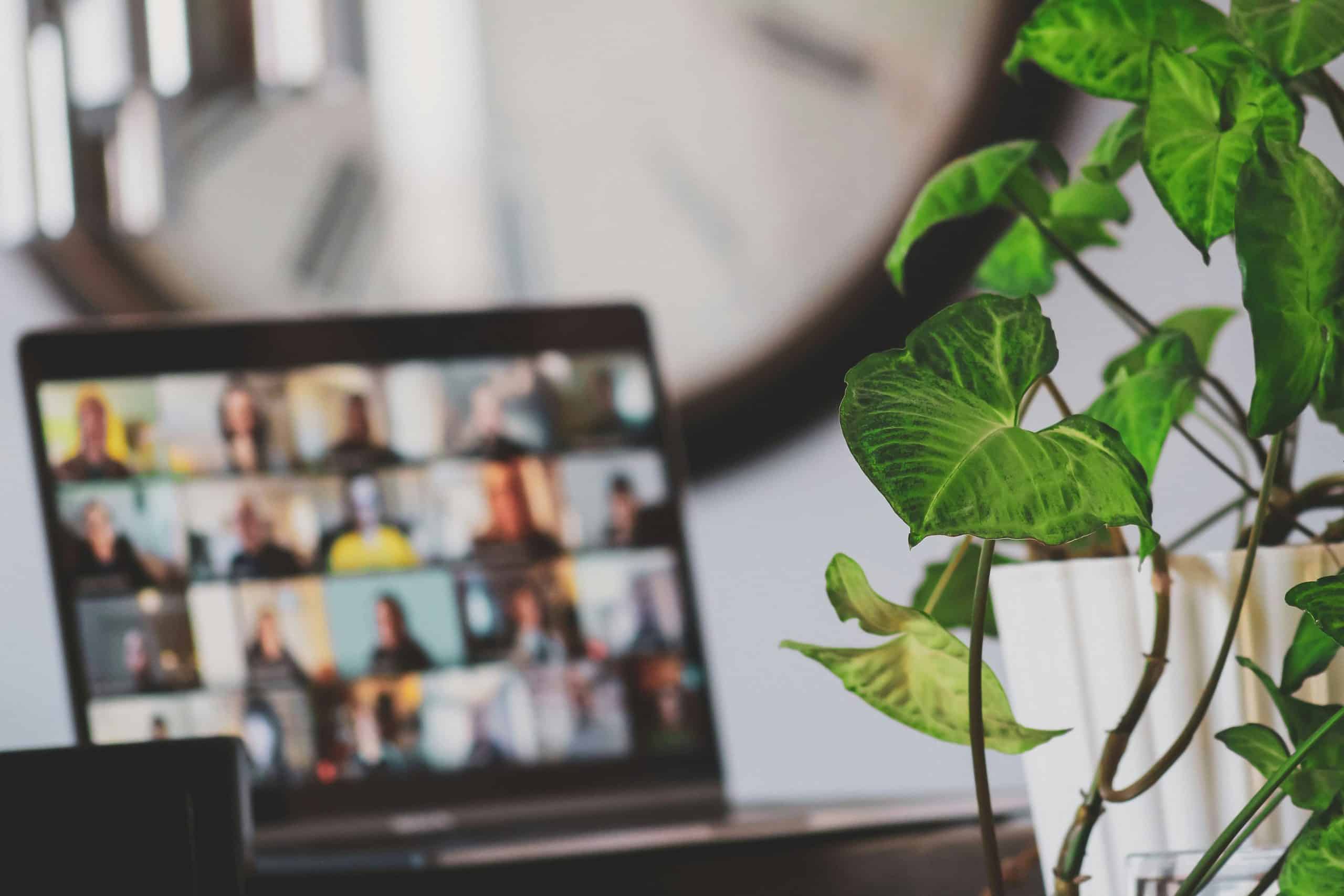 A green leafy plant in focus sits near a laptop showing a group therapy video call with multiple blurred participants; a large clock is in the background.